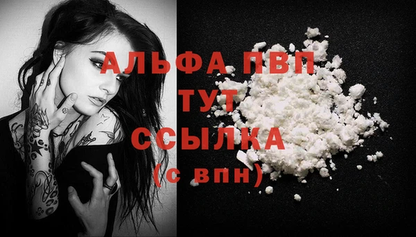 PSILOCYBIN Нязепетровск