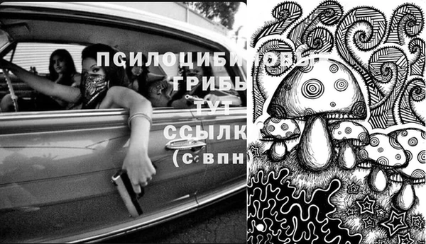 стафф Волосово